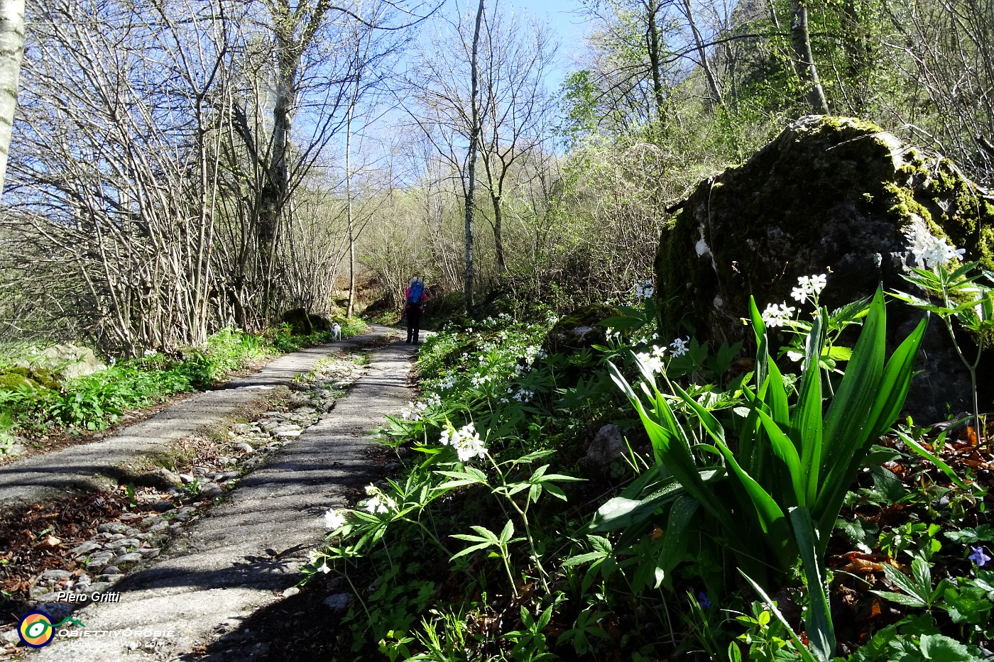 26 Su strada cementata in decisa salita.JPG